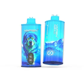 VAPEN AURA 100K Blueberry Ice disposable vape with pure flavors and consistent taste.